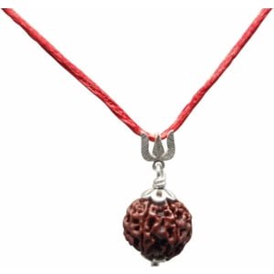 4 Mukhi Rudraksha