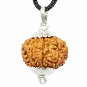 8 Faced Rudraksha
